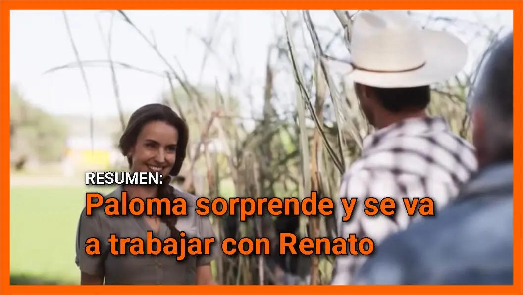 Imagen predeterminada